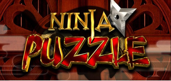 Ninja Puzzle (2011/ENG)