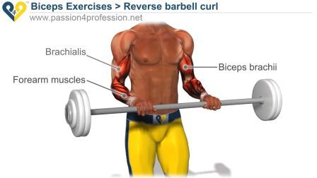 Супер комплекс упражнений для наращивания мышц, укрепления здоровья и тонуса (2011) WEBRip