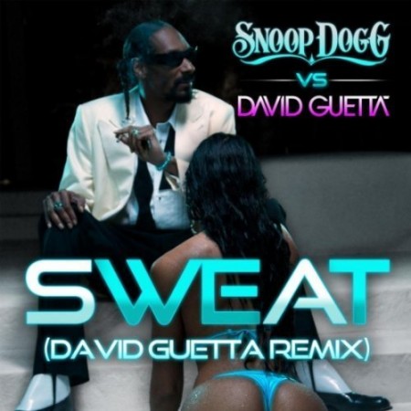 Snoop Dogg feat. David Guetta - Sweat (David Guetta Remix) (VOB)