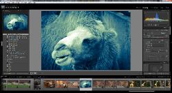 Adobe Photoshop Lightroom 3.4.1 (x32/x64) (2011) PC